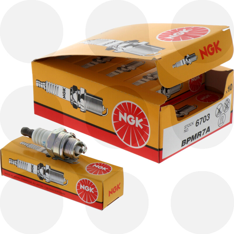 Reptilien Kilauea Berg Mordrin zündkerze m8ac Osttimor Konzert